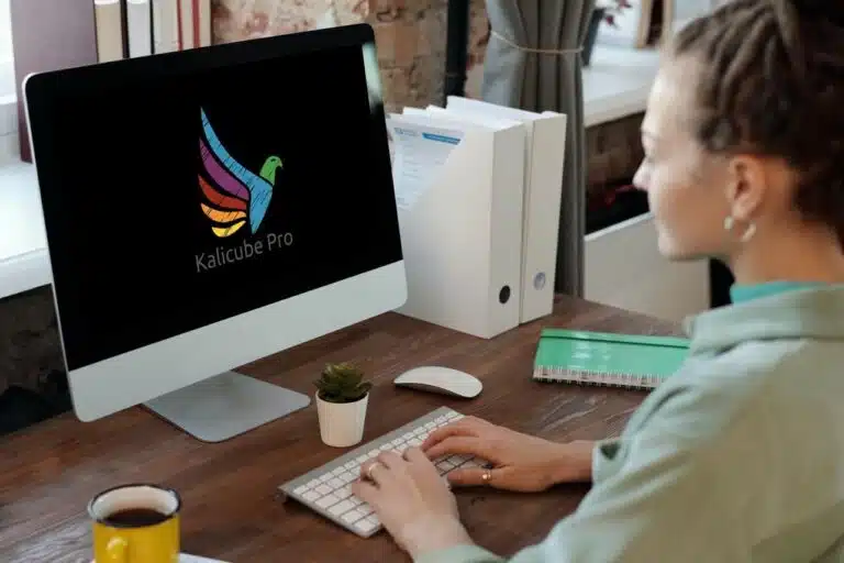 kalicube online reputation management for individuals